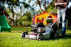 lawn care and maintenance