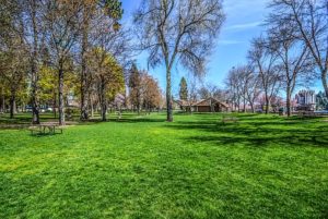 Tips on lawn care and maintenance