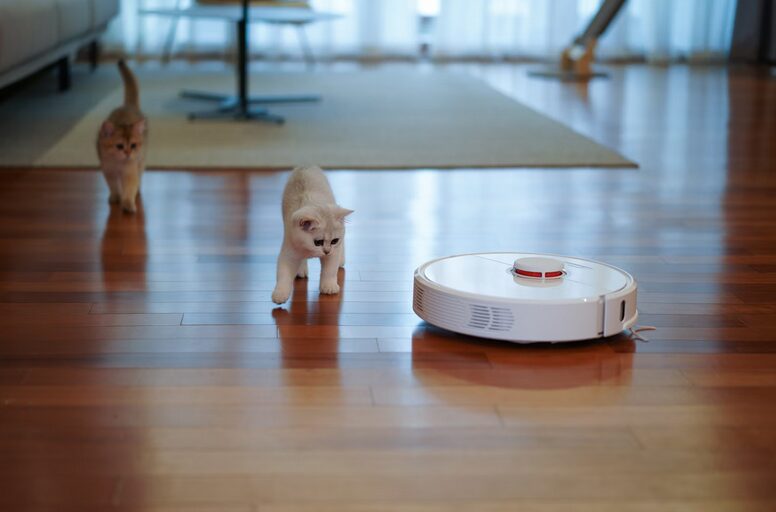 roomba